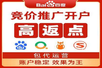 行业标杆的SEM竞价营销案例研究